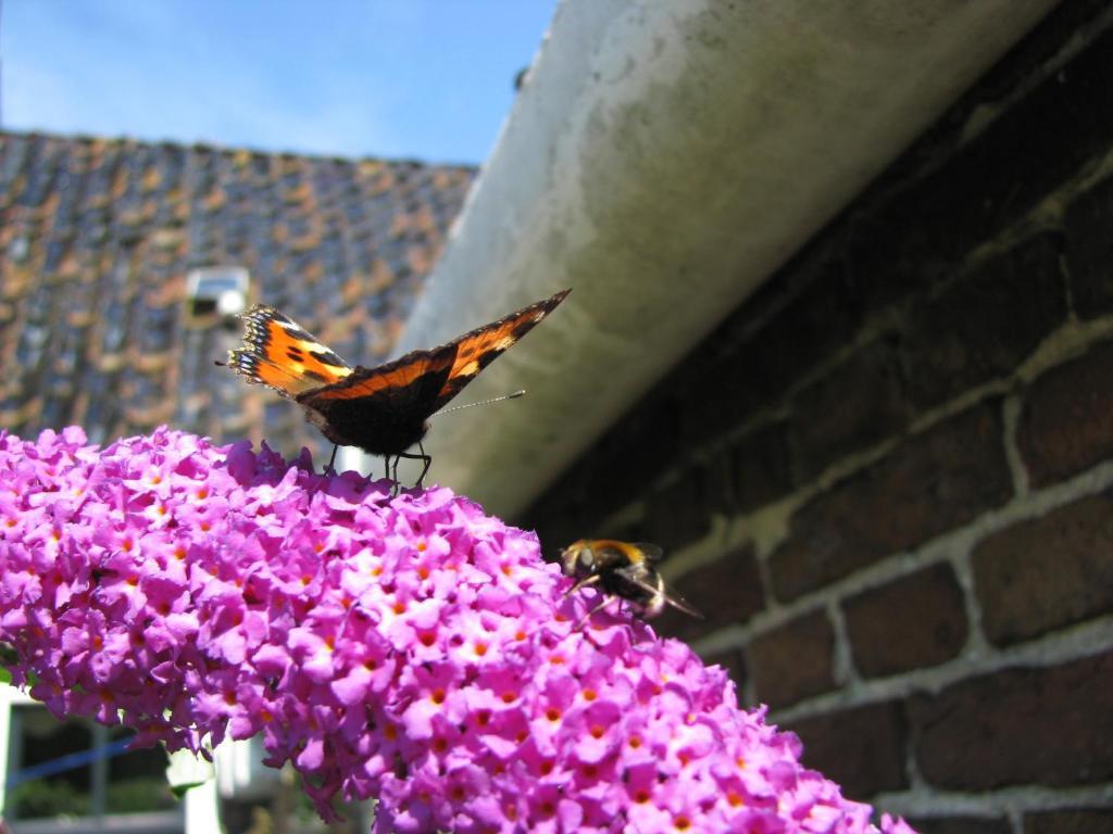 Unia Zathe Bed and Breakfast Ee Buitenkant foto
